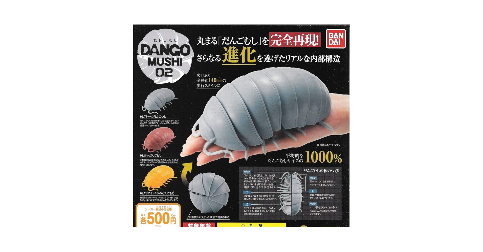 Amazon.co.jp: DANGO MUSHI だんごむし02 赤いだんごむし